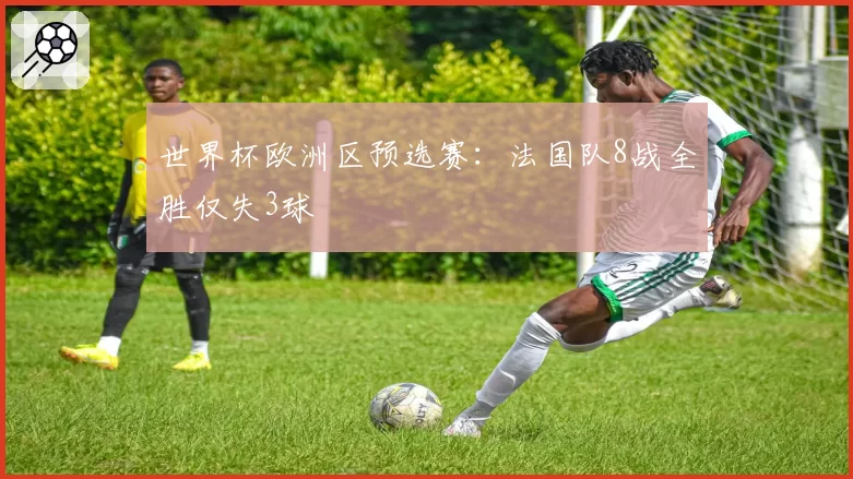 世界杯欧洲区预选赛：法国队8战全胜仅失3球
