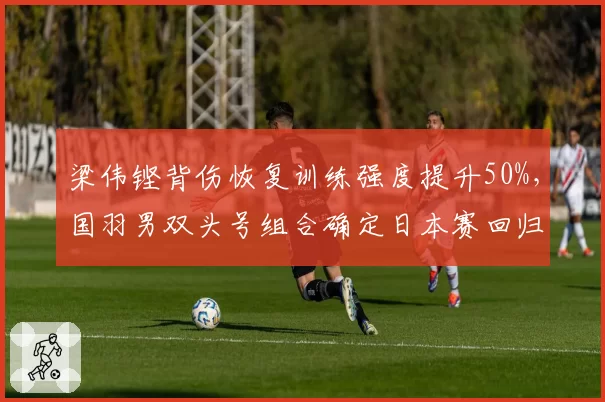 梁伟铿背伤恢复训练强度提升50%,国羽男双头号组合确定日本赛回归__br_