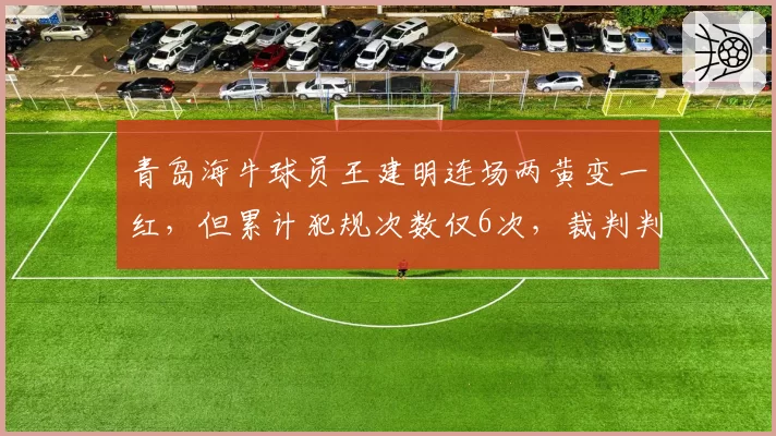 青岛海牛球员王建明连场两黄变一红,但累计犯规次数仅6次,裁判判罚过度引发数据质疑