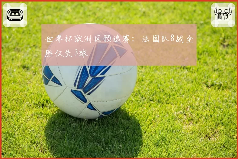 世界杯欧洲区预选赛：法国队8战全胜仅失3球