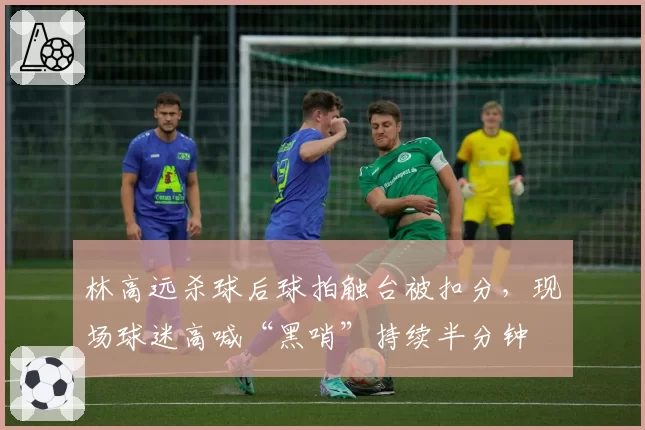 林高远杀球后球拍触台被扣分，现场球迷高喊“黑哨”持续半分钟