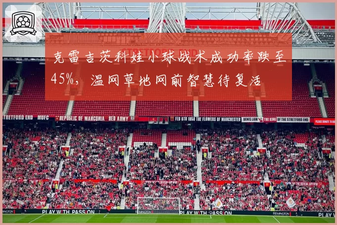克雷吉茨科娃小球战术成功率跌至45%，温网草地网前智慧待复活